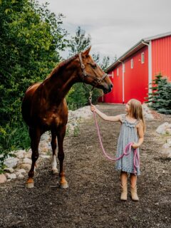 I got to meet and photograph SO many horses this summer season! I loved it and it was definitely #SomethingHappy for me!

Also, I adore these clients! I have had the privilege of photographing this wonderful girl since she was just a newborn!